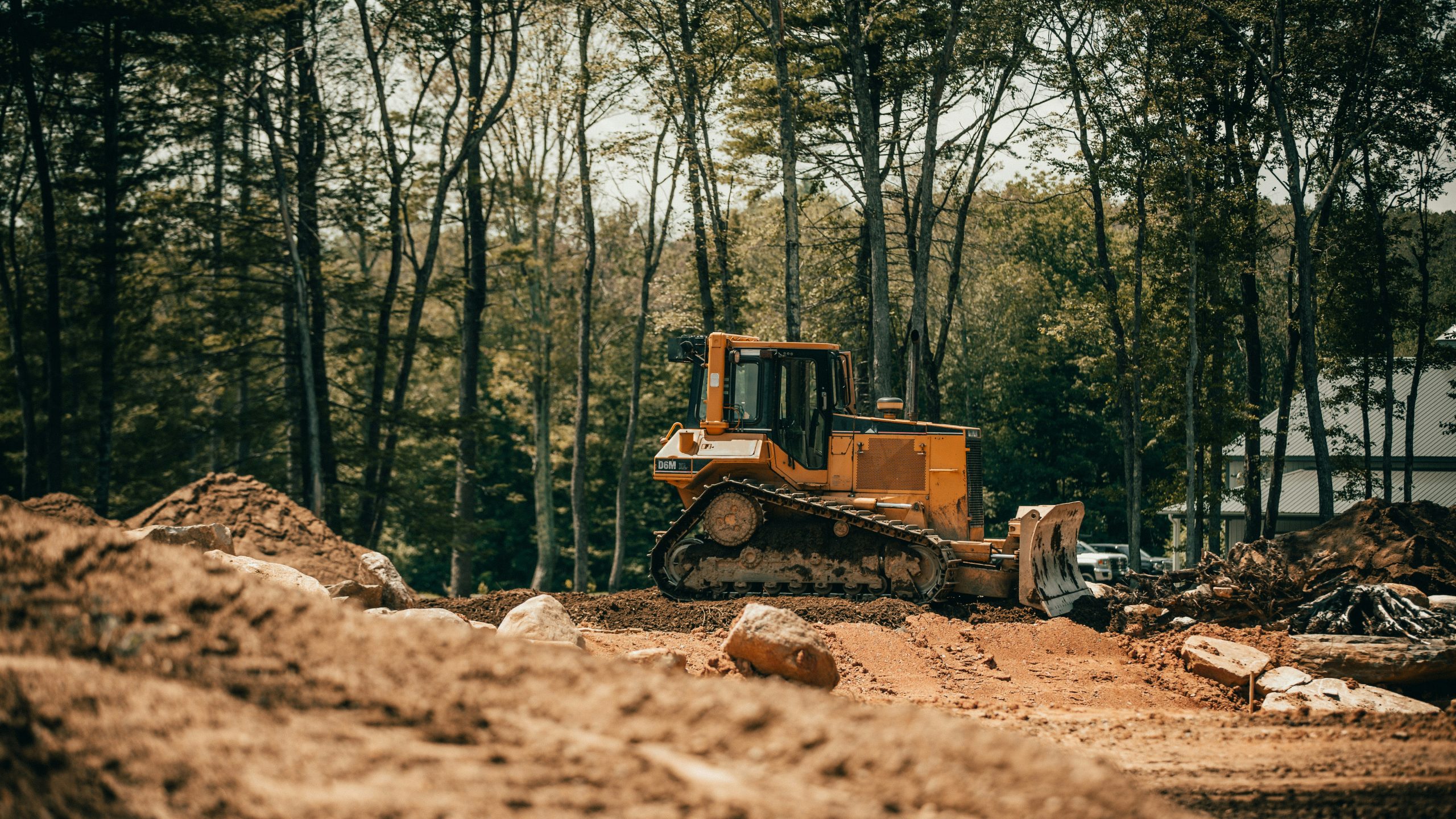 billy-freeman-tWptj-b6IqM-unsplash